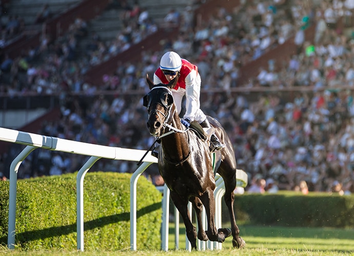 A racing jockey in racecourse