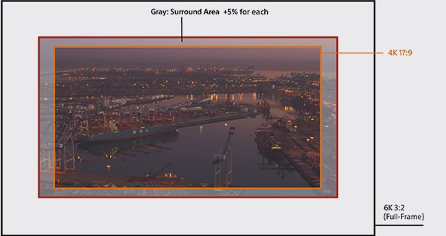 Diagram showing Surround View for VENICE camera operators