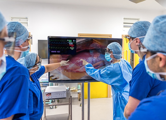 Surgeons check Sony surgical monitor with surgical image