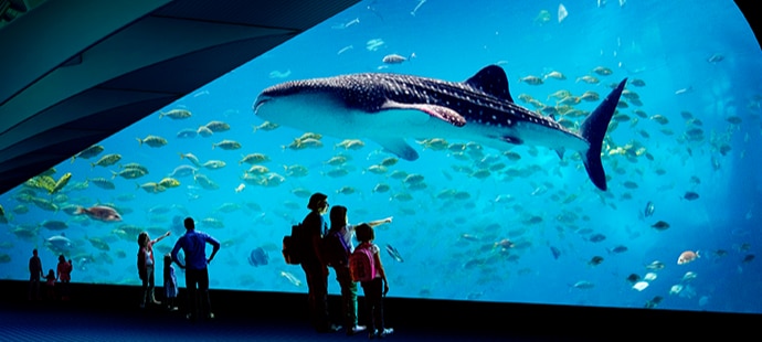 Picture of visitors at an aquarium.