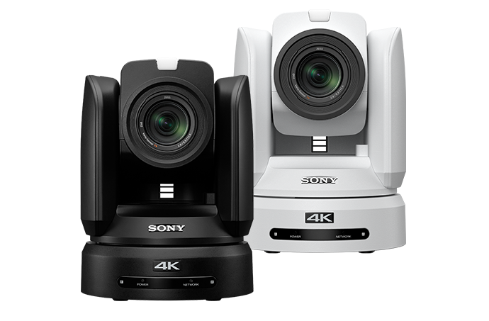 Pan Tilt Zoom cameras—black and white models.