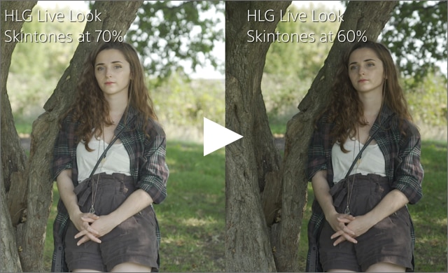 HDR skin tones on FX9 with V2 firmware