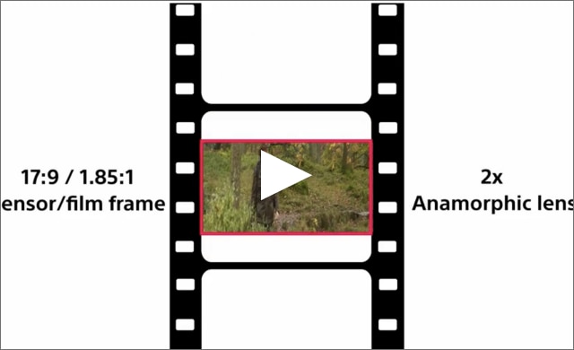 Illustration of anamorphic operation with FX9