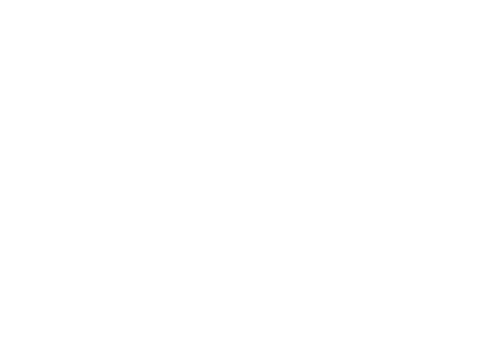 Web icon of the globe