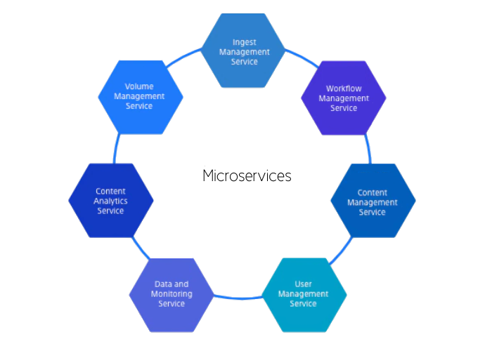 A diagram with ‘NavigatorX’ word in the middle and a display of services