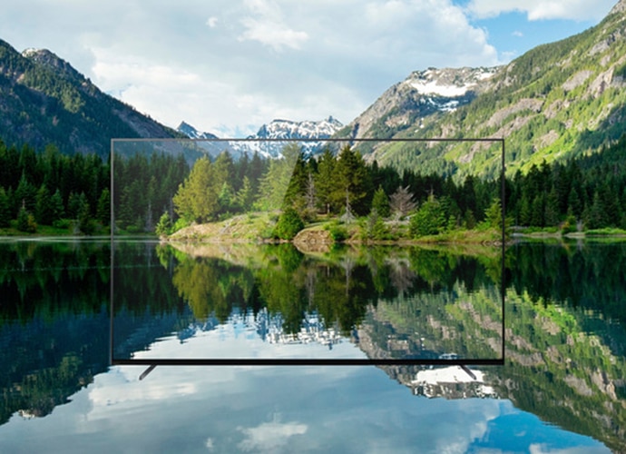 Image of a Sony screen with a forest in the background.