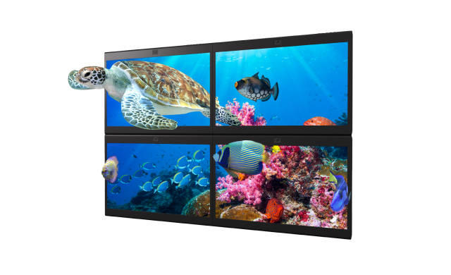 SRD images showing 3D image of underwater, fish and turtle