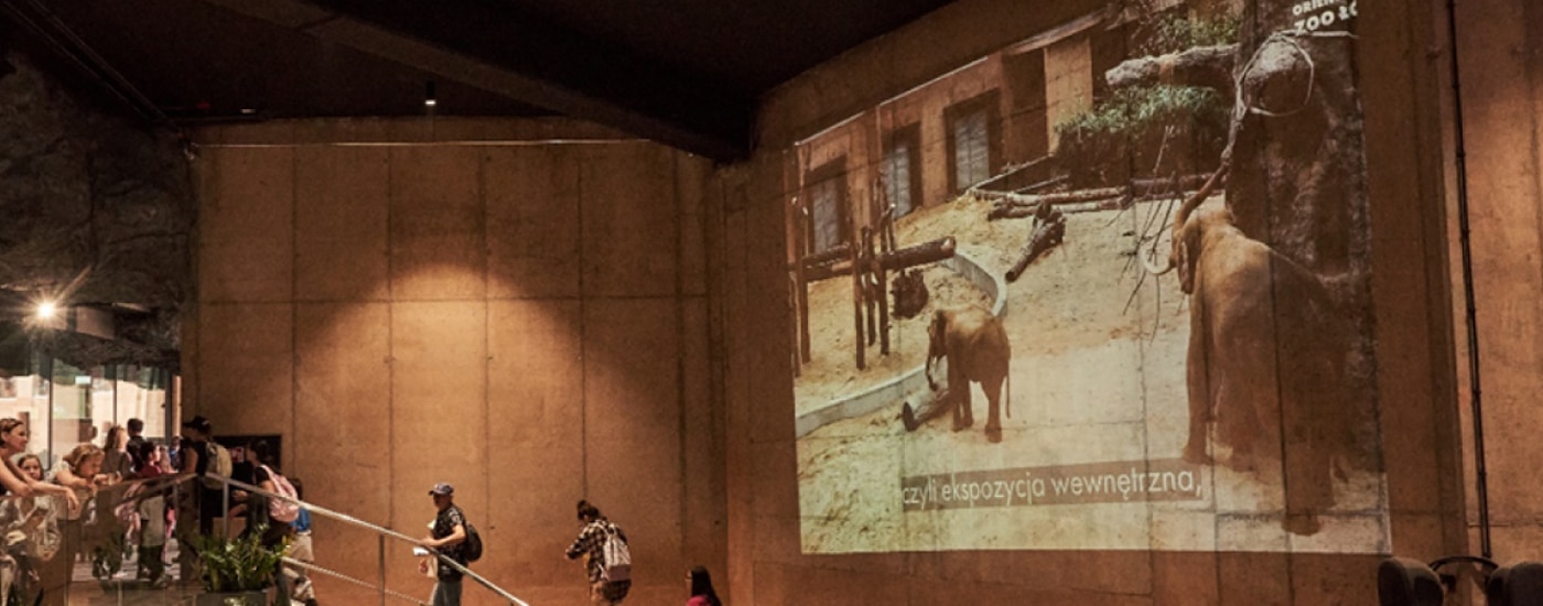 Zoo entrance hall with projector screen information display