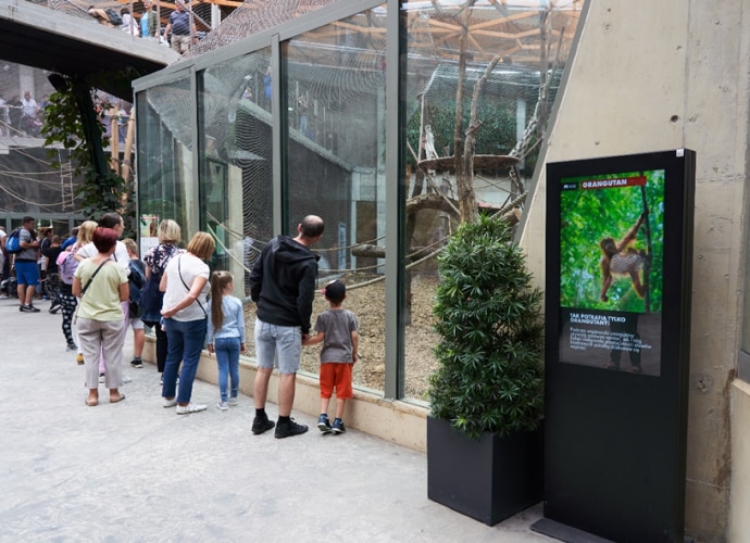 Bravia display screen next to animal enclosure with animal information on screen