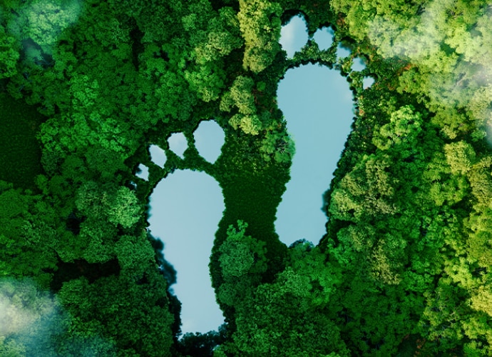 Two big human footprints on a green background.