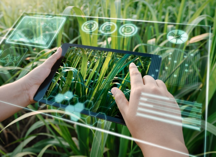 Hands interacting with a tablet