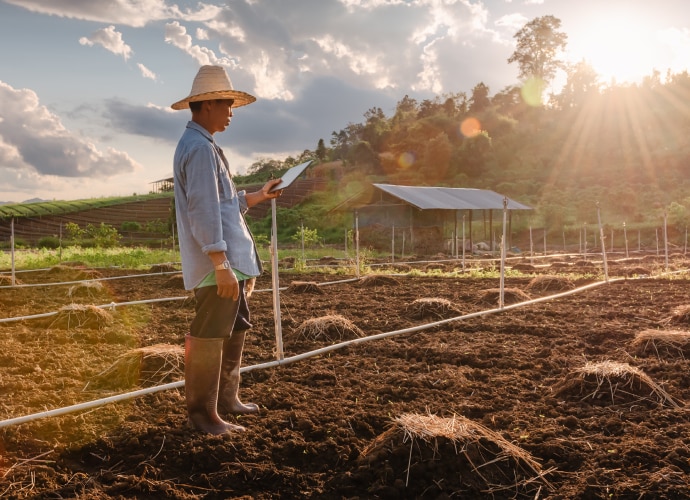 Farmer holding a tablet on a field