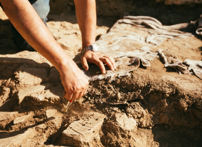 Hands working at an archeological site.