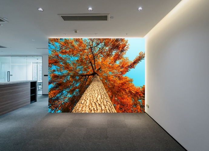 LED wall with bright high-definition image of tree