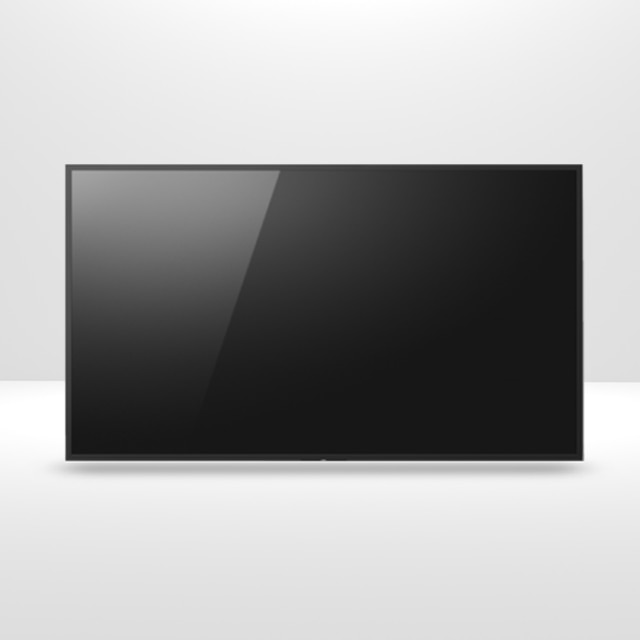 Bravia Professional Display