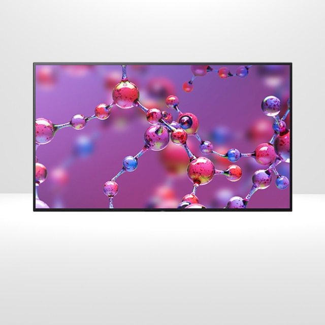 Bravia BZ35L on a gray background