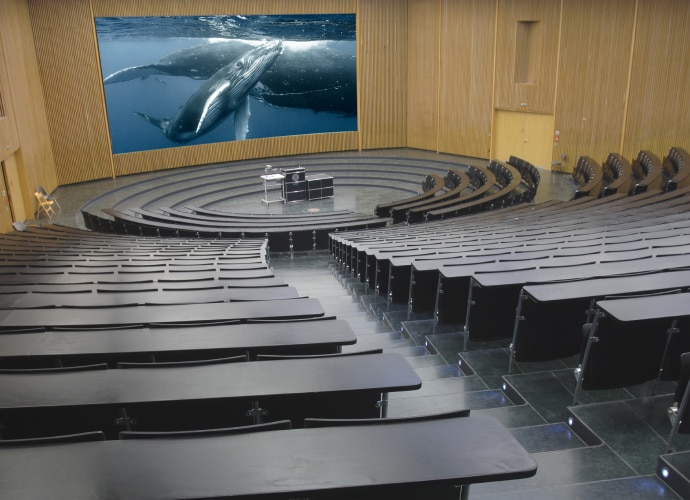 An empty lecture theater with a big projection of whales on the wall